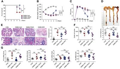 Novel Potassium-Competitive Acid Blocker, Tegoprazan, Protects Against Colitis by Improving Gut Barrier Function